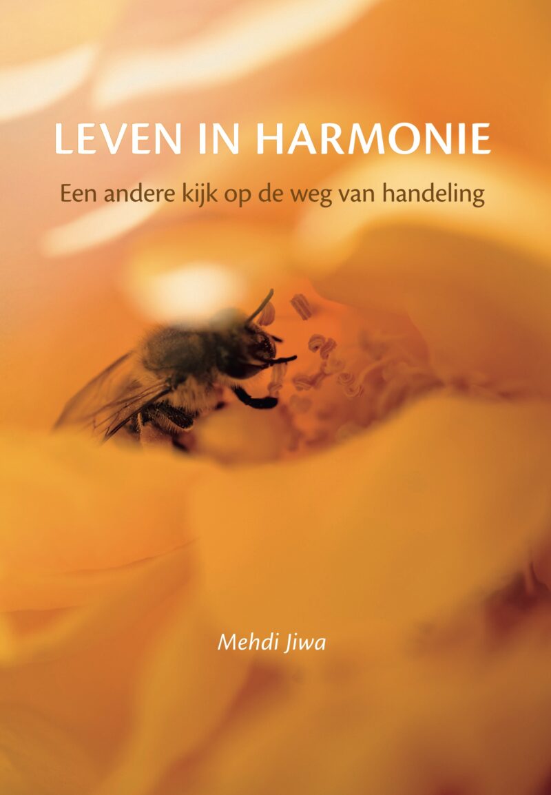 Leven in harmonie - Mehdi Jiwa