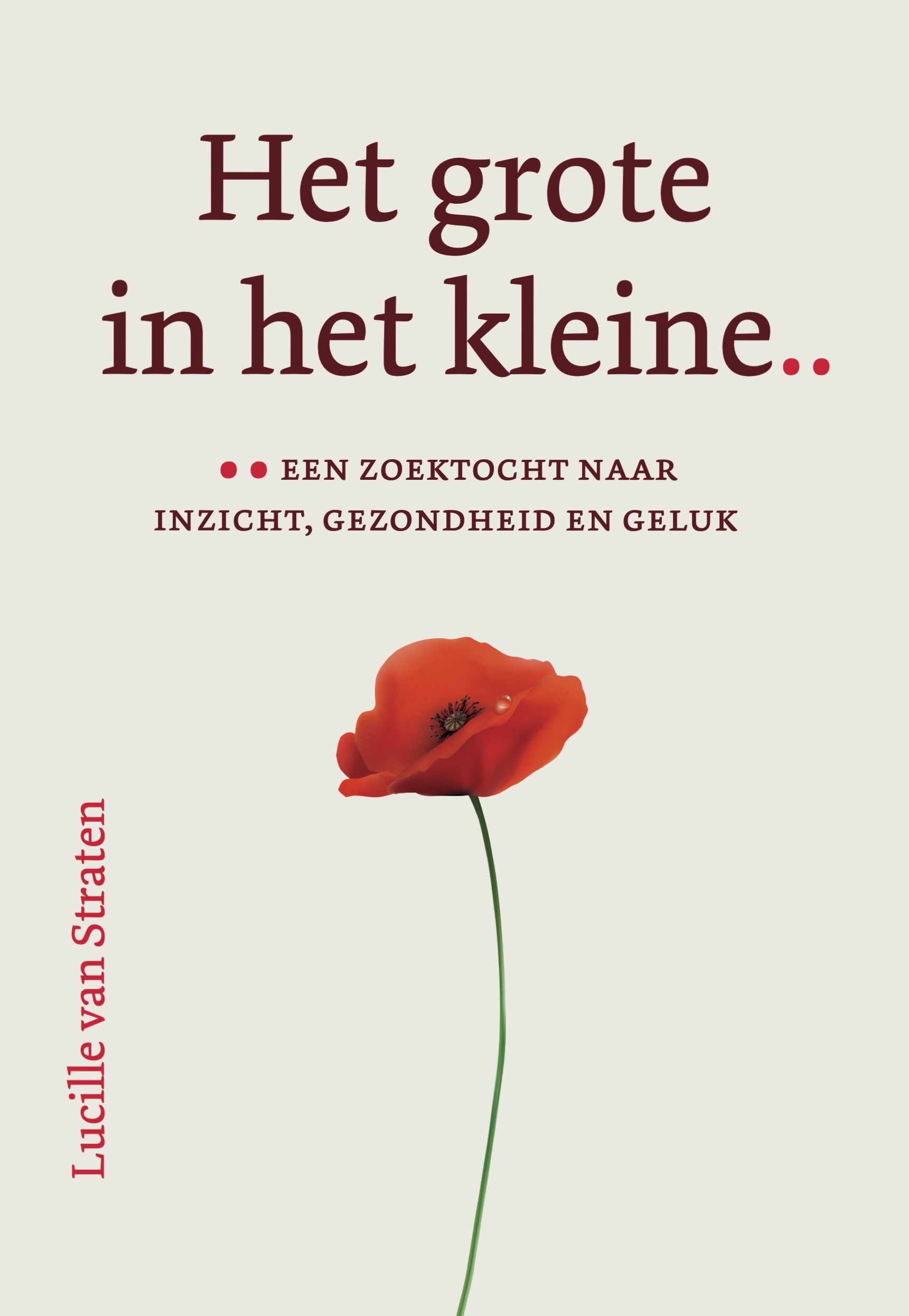 het grote in het kleine