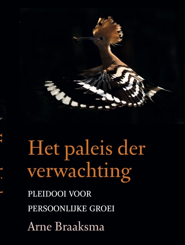 het paleis der verwachting - Arne Braaksma